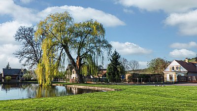 Tam, kde vrba šeptá vodě...