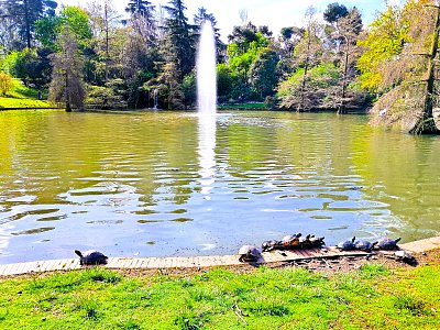 Teče voda, utíkejte!