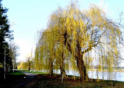 Lázně Toušeň. Procházka podél Labe