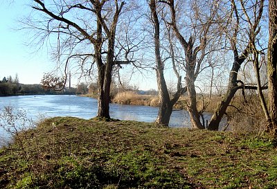 Soutok Labe s Jizerou v Toušeni