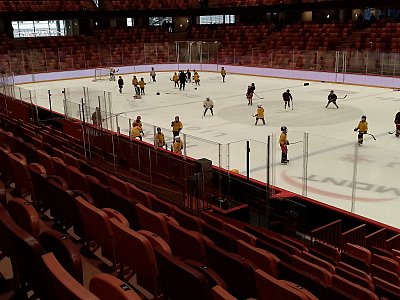 Trenink potěru v Jihlavě