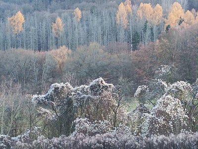 Tři vrstvy listopadu