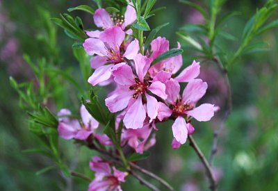 Nevím, jak se jmenuje...