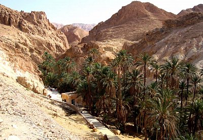 Tunis. Pouštní oáza Chebika.