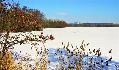 Únor - Radovan Cakl - Zimní Žabakor.jpg