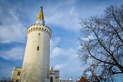 Využití kácení linií ke zdůraznění výšky