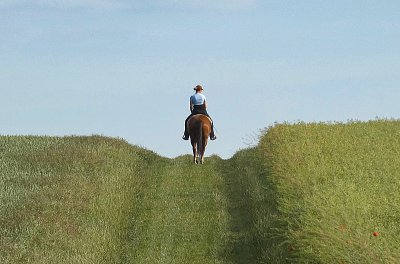 Vzhůru do prázdninových dobrodružství