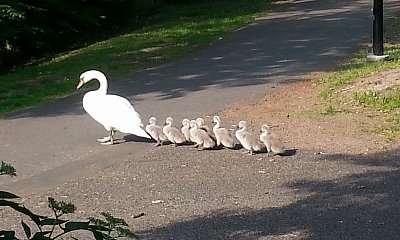 Vzpomínka na rok 2015