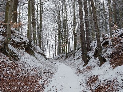 Žalm 23 - I kdybych šel *