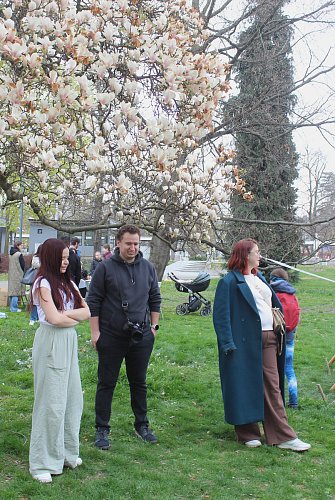 Pod rozkvetlým stromem