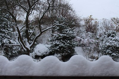 Dnešní ranní překvapení...