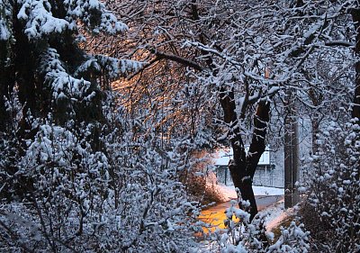 Zimní večer u nás