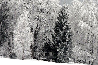 Pořádná zima v Orlických horách