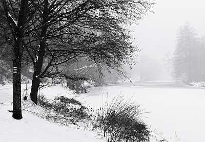 Mlhavé zimní ráno*