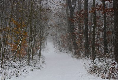 Cestou neprošlapanou...