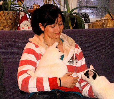 Předvánoční pohoda