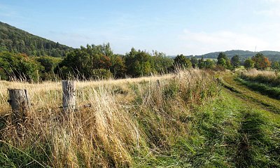 Kamenice slovem i obrazem