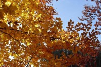 Můj nejkrásnější podzim