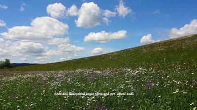 beskydska-louka.jpg
