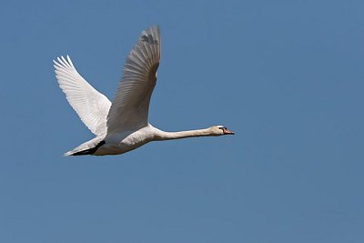 Já v mládí chtěla rychle žít