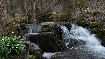 Vítězové soutěží o vodě. Tady jsou.