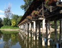 Zajímavý dřevěný most u Kolárova