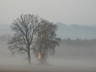 Mlhavé ráno