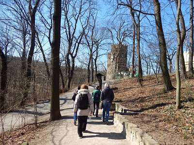 Stromy bez listí, naše výhoda