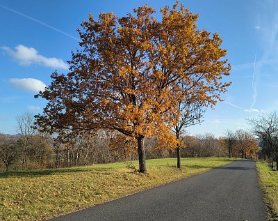 Krásným podzimním dnem
