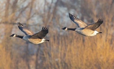 Nezapomenutelné prázdniny: Čas zázraků