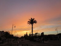 Červánky v Port Grimaud 