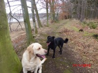 všechno co mám ráda