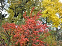 Můj nejkrásnější podzim