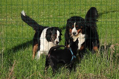 Moje holky kamarádky