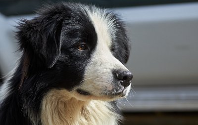 Lidi, proboha, pohlídejte mi ji