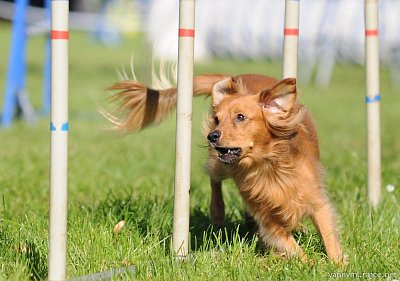 Slalom mám moc rád