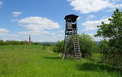 dsc00088-posed-a-rozhledna.jpg
