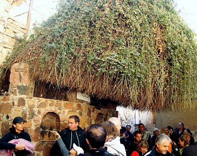 Údajný pozůstatek Mojžíšova "hořícího keře."