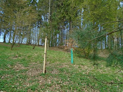 Zázrak do dvou dnů, dostala jsem pevnou oporu.