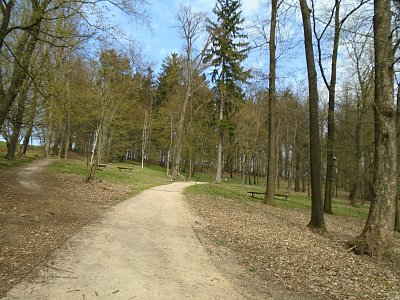 Lesopark se probouzí ze zimního spánku.