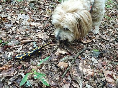 Eliško, to je Alenin úlovek ☺