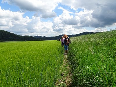 dsc00860-skupina-na-kraji-pole.jpg