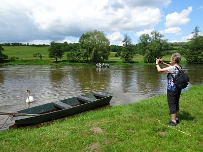 Na Berounce je živo