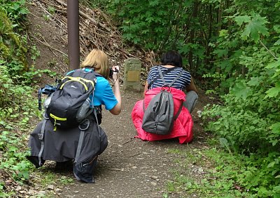 Křížení, to je něco pro nás ☺