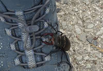 Brzy budu na vrcholu