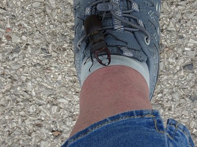 Bojíš se mě nebo nebojíš? Nebojím ☺