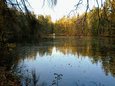 Podzimní zrcadlení.