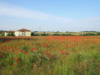 Máky na kraji města