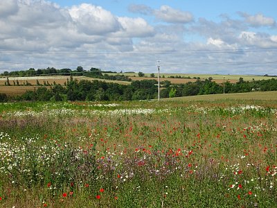 Barevná krajina za městem