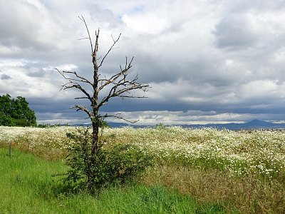Slunko pořád nesvítí